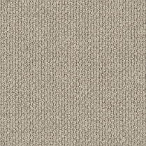 Middle Andesynt2406