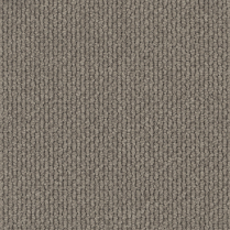 Middle Andesynt2409